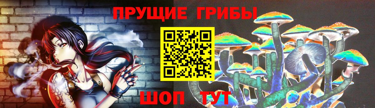Галлюциногенные грибы GOLDEN TEACHER Миасс